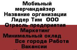 Мобиьный мерчандайзер › Название организации ­ Лидер Тим, ООО › Отрасль предприятия ­ Маркетинг › Минимальный оклад ­ 23 000 - Все города Работа » Вакансии   . Камчатский край,Петропавловск-Камчатский г.